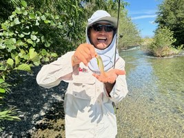 Fly fishing trout in beautiful New Zealand