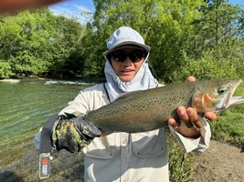 Fly fishing trout in beautiful New Zealand