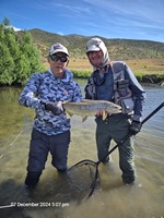 Fly fishing trout in beautiful New Zealand