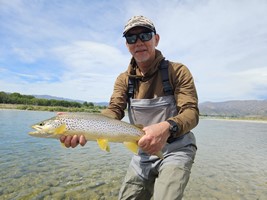 Fly fishing trout in beautiful New Zealand