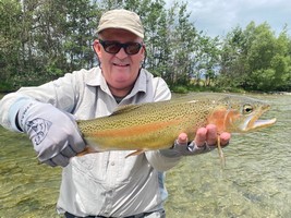 Fly fishing trout in beautiful New Zealand