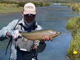 Fly fishing trout in beautiful New Zealand