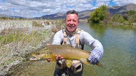 Fly fishing trout in beautiful New Zealand