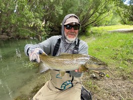 Fly fishing trout in beautiful New Zealand