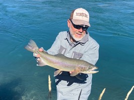 Fly fishing trout in beautiful New Zealand