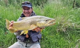 Fly fishing trout in beautiful New Zealand