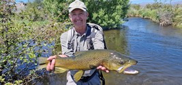 Fly fishing trout in beautiful New Zealand